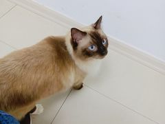 -福州肆爪动物医院