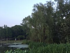 -宝界山林公园