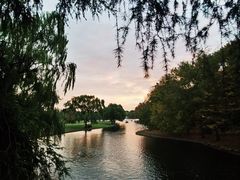 -上海共青森林公园