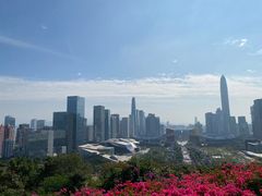 -莲花山公园