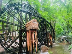 -波尔登森林公园