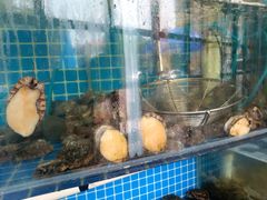 -蟹谢蒸鲜自助餐厅
