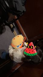 -小鸡哆哆故事屋·儿童乐园(嘉里城店)