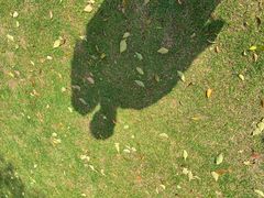 -东钱湖小普陀景区