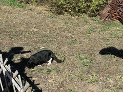 -北京西山国家森林公园