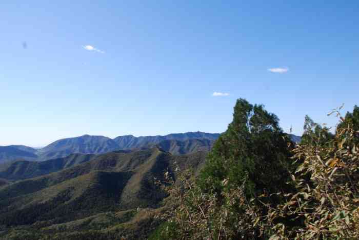 九龙山国家森林公园黄花山景区-"九龙山国家森林公园黄花山景区黄花山