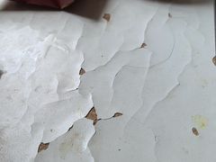 -玫瑰红烤羊排(北新桥三条店)