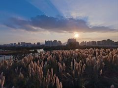 -三垟湿地