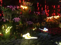 -天河体育中心
