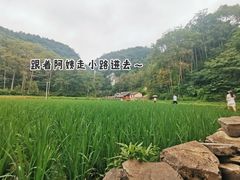 -苗人谷