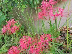 -安徽工业大学(秀山校区)