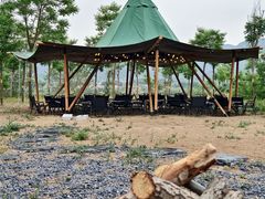 -Walker萌宠露营(大明骑士驿站店)