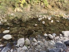 -黄山翡翠谷景区