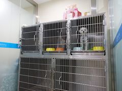 -菲尔斯特宠物医院