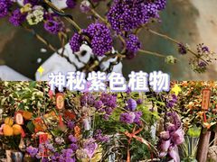 -南北湖风景区