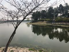 -美兰湖景区
