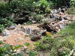 -火炉山森林公园