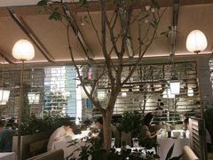 -桂满陇·海市蜃楼·黑金(国金店)