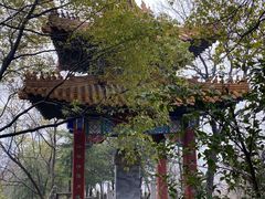 -阅江楼风景区