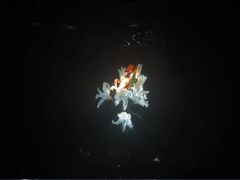 -华熙生物·润百颜ECM中心