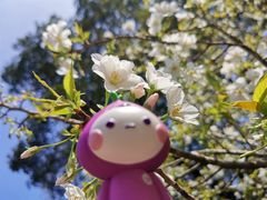 -新虹桥中心花园