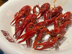 -虾皇(龙虾城旗舰店)