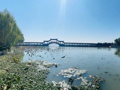 -观桥阁(锦溪店)