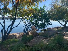 -长春市南湖公园