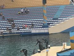 -秦皇岛乐岛海洋王国