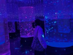 -哈尔滨波塞冬海底世界