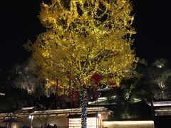 -紫阳古街