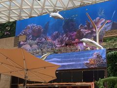 -视博茶点(美狮美高梅店)