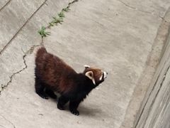 -昆明动物园