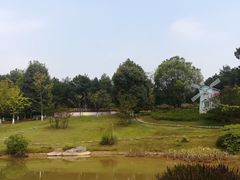 -铁山坪森林公园