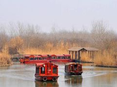 -溱湖国家湿地公园