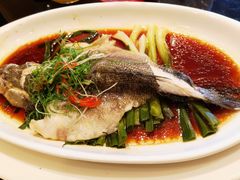 清蒸笋壳鱼-新南华大酒店(长寿店)