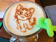 -名猫咖啡馆·撸猫·拼豆