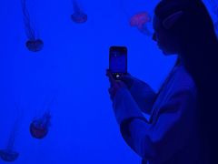 -沈阳海洋探索中心