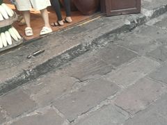 -胖娃古镇鸡杂(磁器口总店)