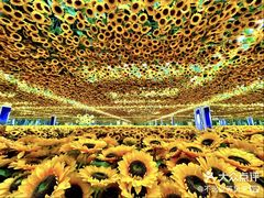 -梵高星空艺术馆(北京旗舰店)