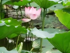 -老木棉·匠园