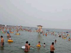 -碧海金沙