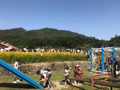 -宁波浙东大竹海景区