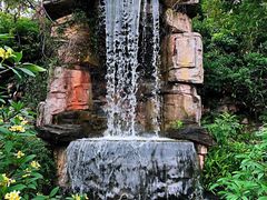 -华南国家植物园-售票处