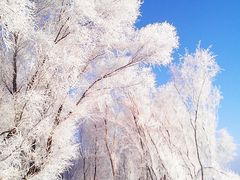 -雾凇岛