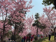-龟山风景区-龟山电视塔