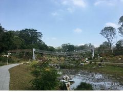 -东莞植物园