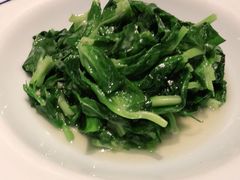 豌豆尖-晟永興烤鸭店(五道口店)