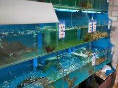 -御盛苑富隆汇·传承川菜·商务简餐(江北嘴店)