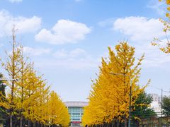 -东北大学(南湖校区)